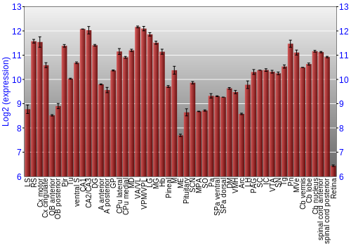 Expression graph