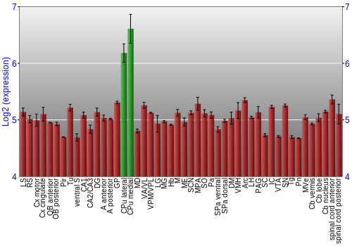 Multi-state expression graph