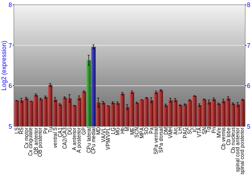 Multi-state expression graph