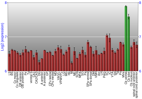 Multi-state expression graph