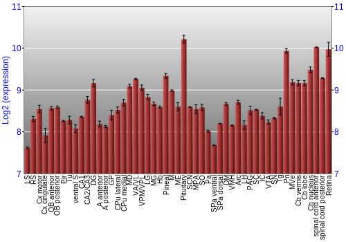 Expression graph