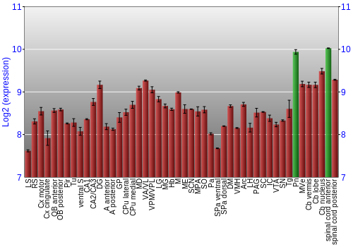 Multi-state expression graph