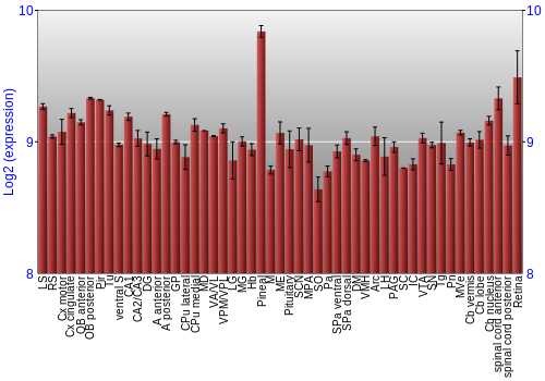 Expression graph