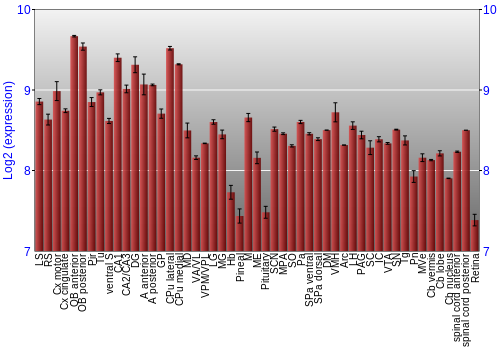 Expression graph