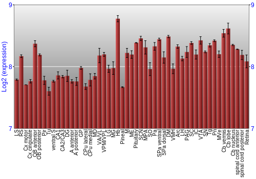 Expression graph