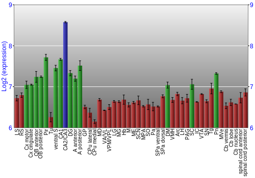 Multi-state expression graph