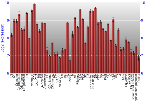Expression graph