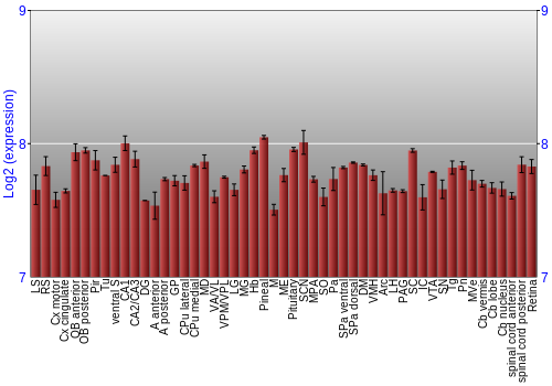 Expression graph