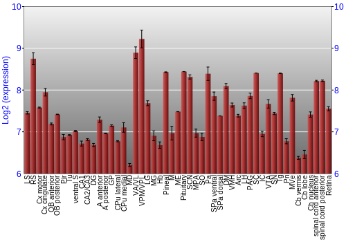 Expression graph