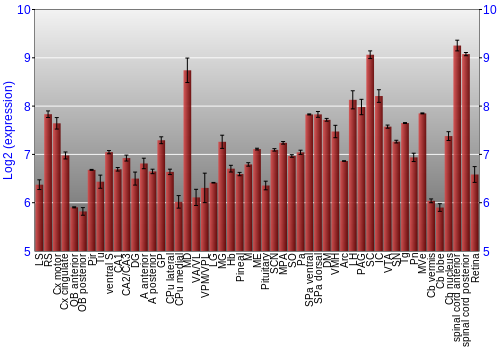 Expression graph