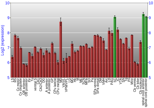 Multi-state expression graph