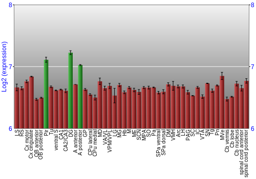 Multi-state expression graph