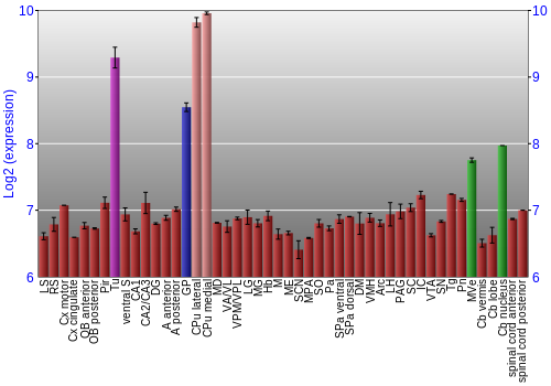Multi-state expression graph
