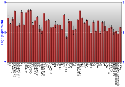 Expression graph