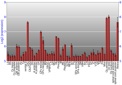 Expression graph