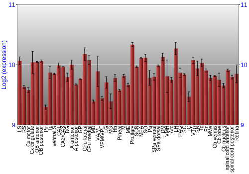 Expression graph