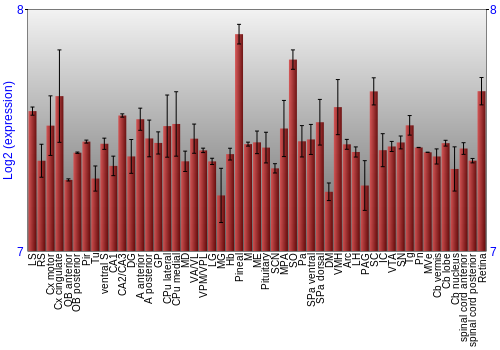 Expression graph