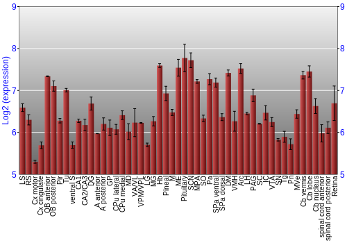 Expression graph