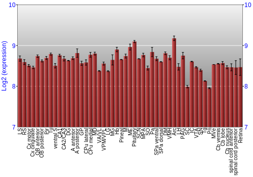 Expression graph