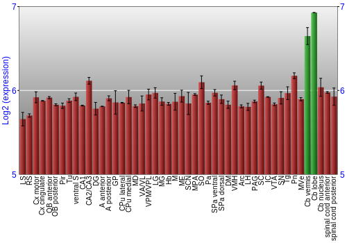 Multi-state expression graph