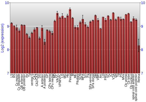 Expression graph