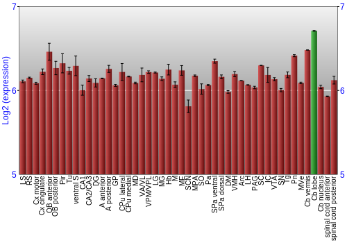 Multi-state expression graph