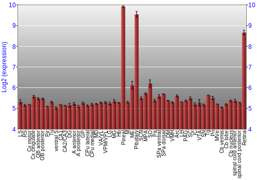 Expression graph