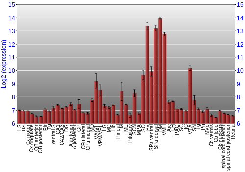 Expression graph