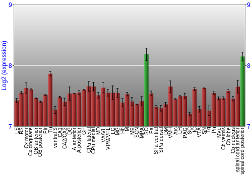 Multi-state expression graph