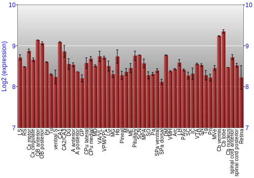 Expression graph