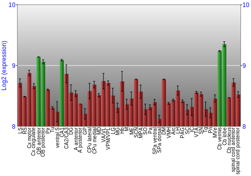 Multi-state expression graph