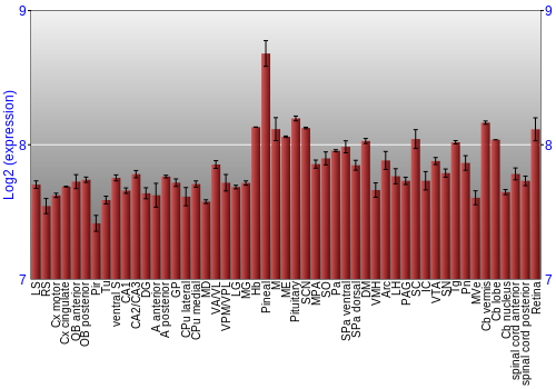 Expression graph