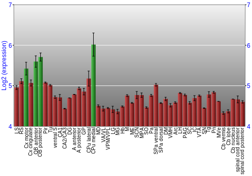 Multi-state expression graph