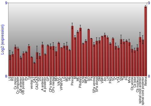 Expression graph