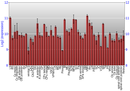 Expression graph