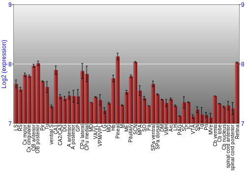 Expression graph