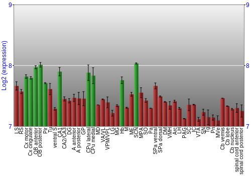 Multi-state expression graph
