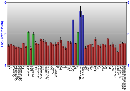 Multi-state expression graph