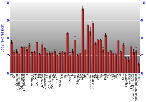 Expression graph