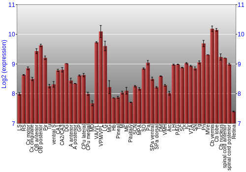 Expression graph