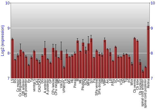 Expression graph