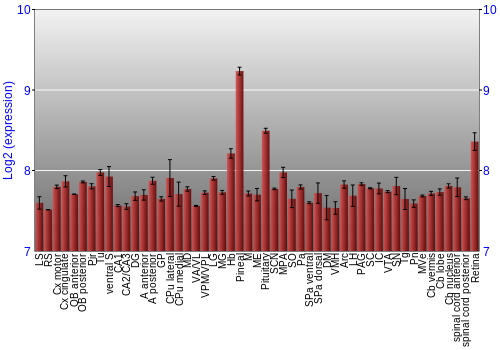 Expression graph