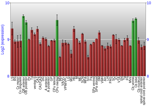 Multi-state expression graph
