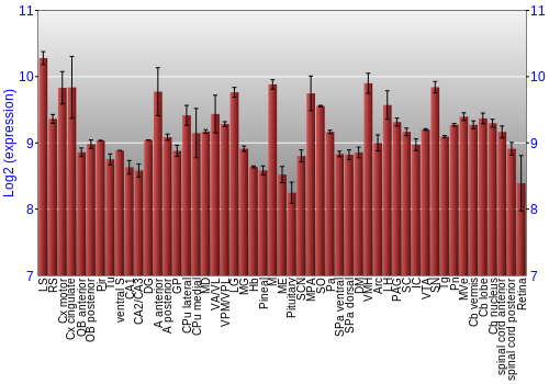 Expression graph