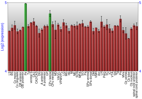 Multi-state expression graph