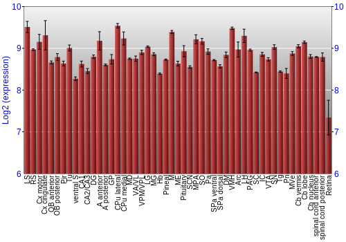 Expression graph