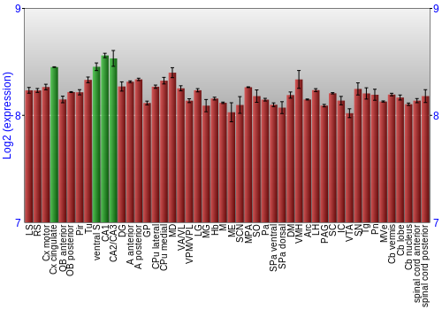Multi-state expression graph