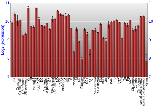 Expression graph