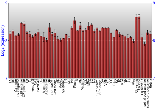 Expression graph