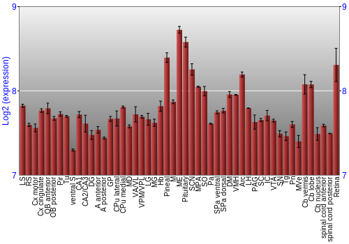 Expression graph